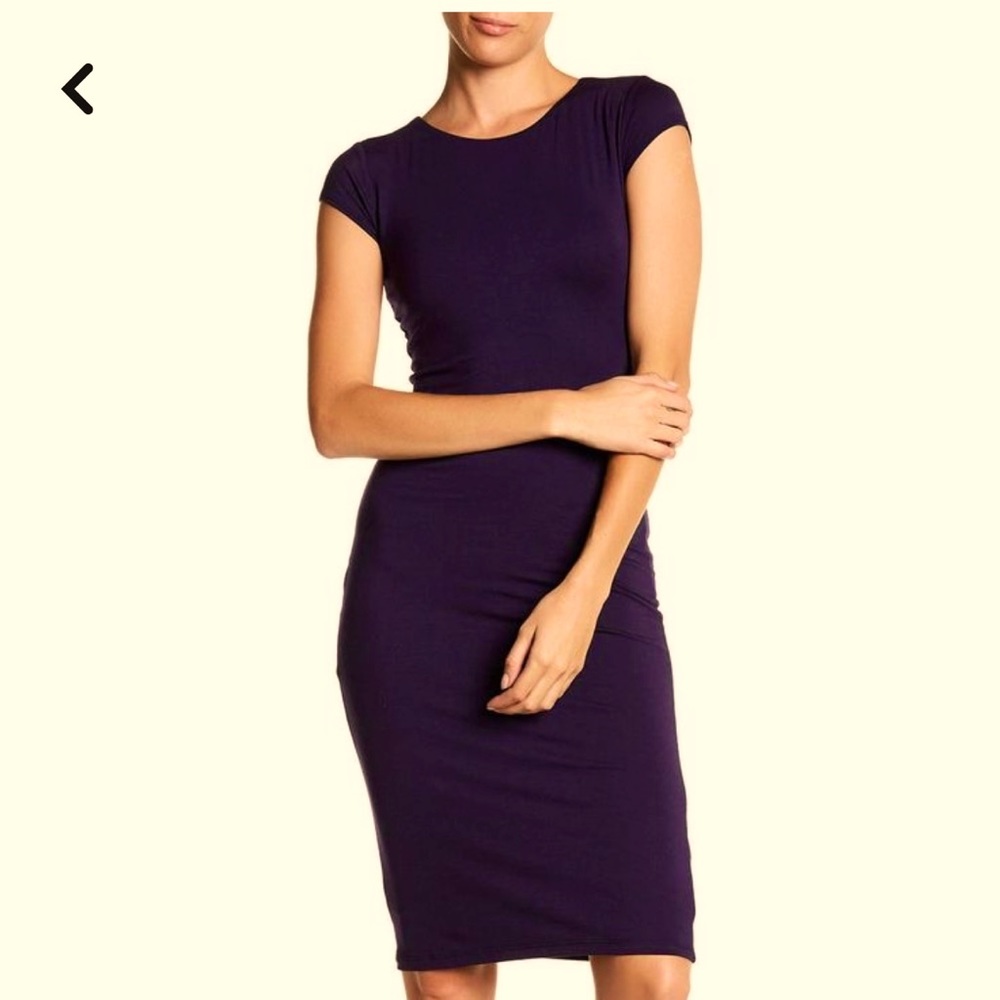 Velvet Torch Purple Cap Sleeve Bodycon Dress, Medium NWT